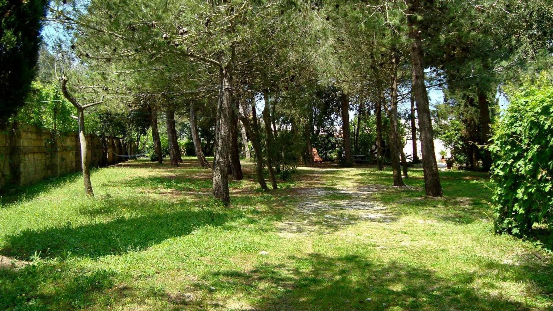 Agriturismo Vignavecchia Vignacastrisi Exterior photo